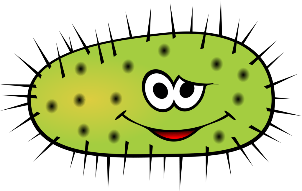 bacteria-clipart